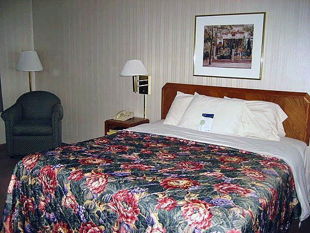 Motel 6 노멀 객실 사진